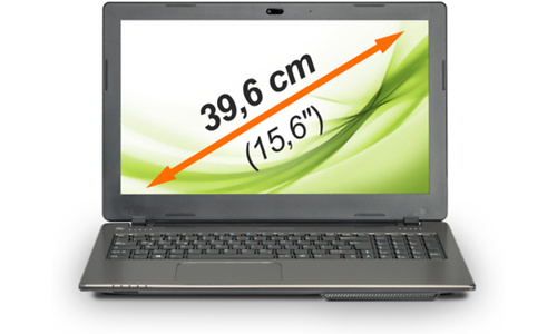Medion Akoya P6655 (MD99138)