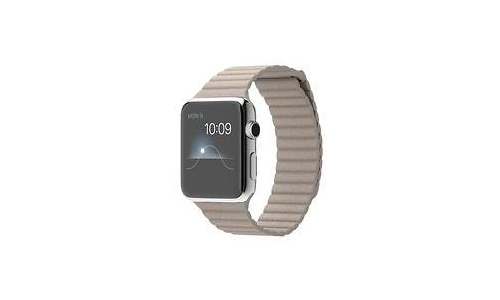 Apple Watch 42mm Stainless Steel Case, Stone Leather Loop, L