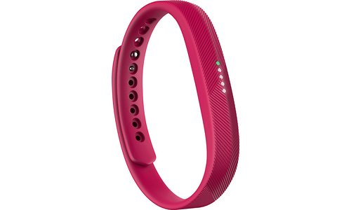 Fitbit Flex 2 Red