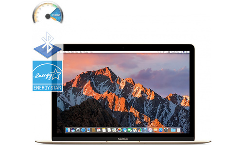 Apple MacBook 12 2017 (MNYK2FN/A)