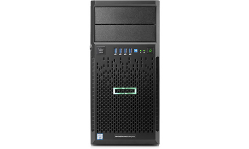 HP Enterprise HPE ML30 Gen9 (873232)
