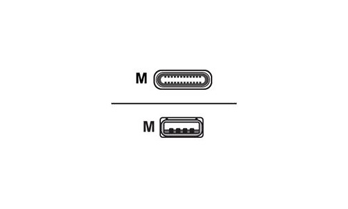 Belkin F2CU059BT04-GLD
