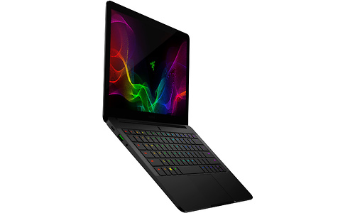 Razer Blade Stealth (RZ09-02393G31-R3G1)