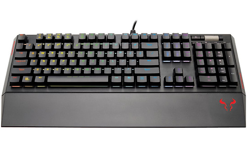 Riotoro Ghostwriter Prism Brown RGB Cherry MX-Brown Black (US)