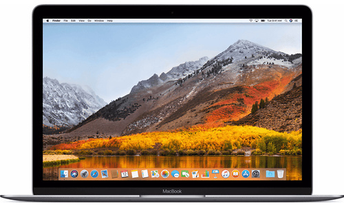 Apple MacBook 2017 12" Space Grey (4960486)