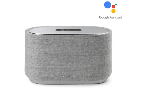Harman Kardon Citation 300 Grey