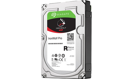 Seagate IronWolf Pro 4TB (ST4000NE001)