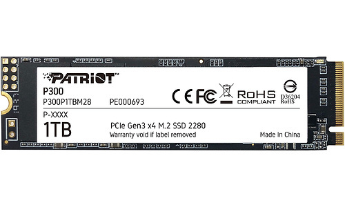 Patriot P300 1TB