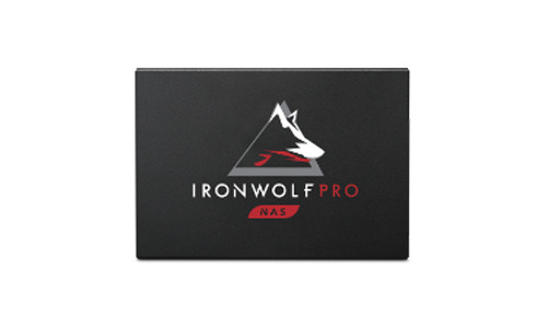 Seagate IronWolf Pro 125 SSD 3.84TB