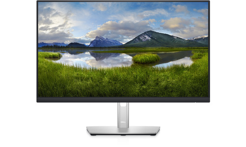 Dell P2422HE