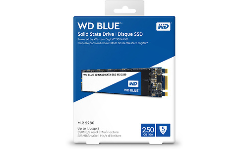 Western Digital WD Blue 250GB (M.2 2280)