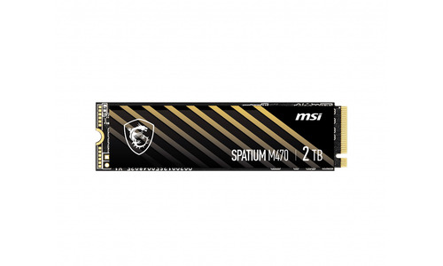 MSI Spatium M470 2TB (M.2 2280)