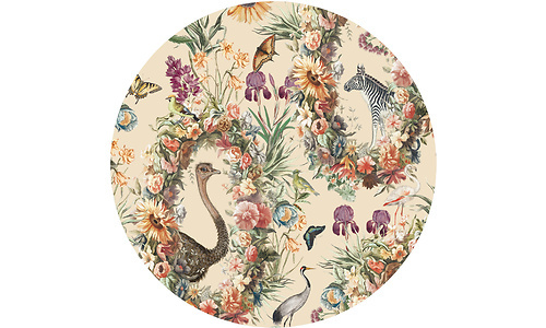 Beko RFNE312E33XN Vriezer INOX