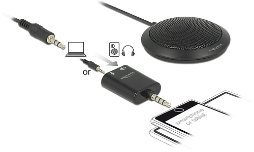 Delock microfoon