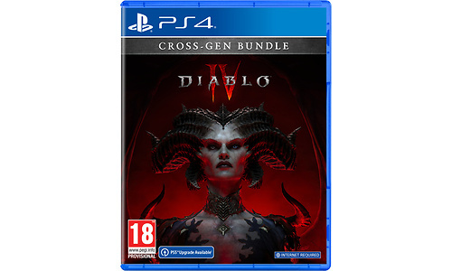 Diablo IV (PlayStation 4)