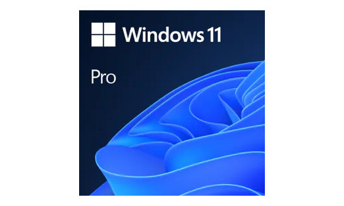 Microsoft Windows 11 Pro