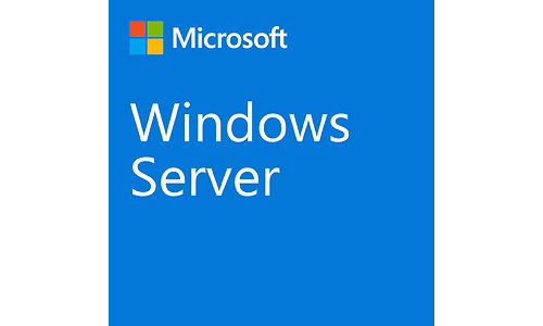 Microsoft Windows Server 2022 Standard (P73-08328)