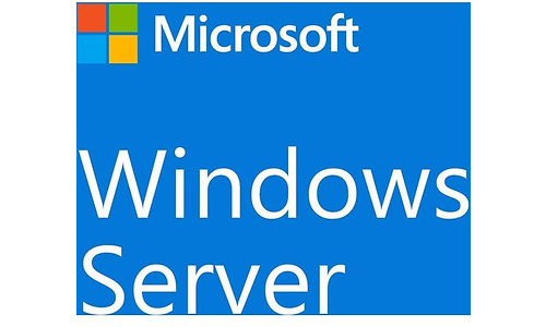 Microsoft Windows Server CAL 2022 (R18-06466)