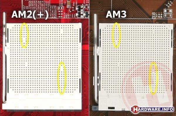 AMD Phenom II X4 810