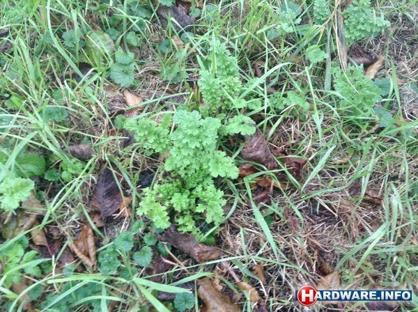 Apple iPad Mini WiFi 64GB Black