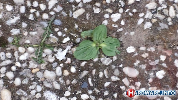 Samsung Galaxy S4 Black