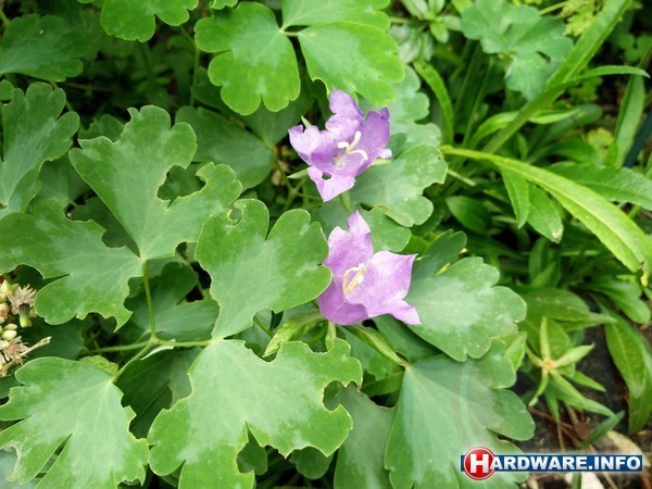 OnePlus 2 64GB Black