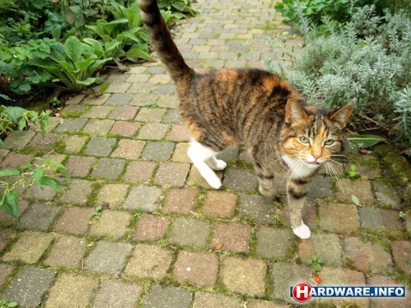 OnePlus 2 64GB Black