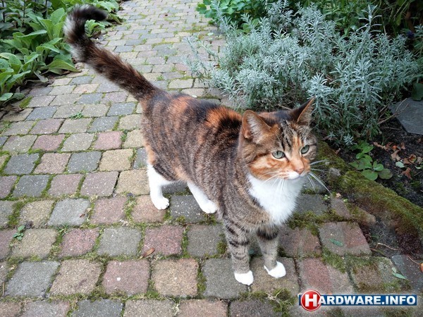 OnePlus 2 64GB Black