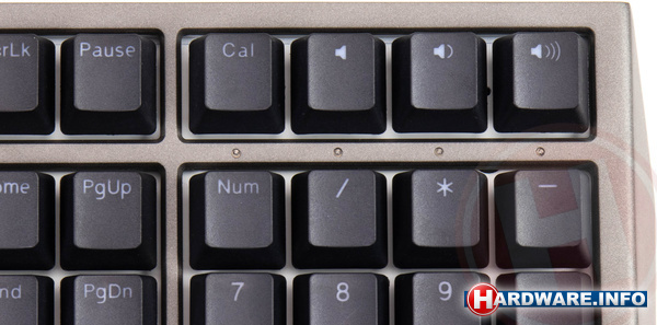 Ducky Shine 7