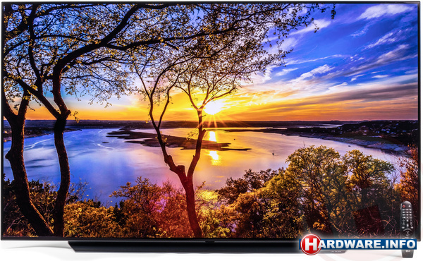LG OLED65C9PLA