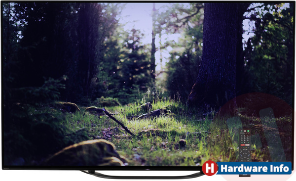 Sony Bravia KD-55AG8